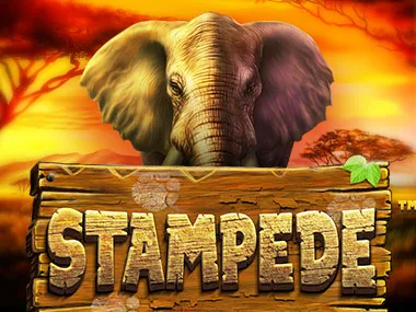 StakeDuel — Stampede